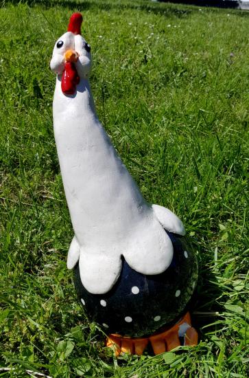 Poule Danielle