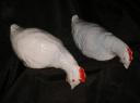 .Poule